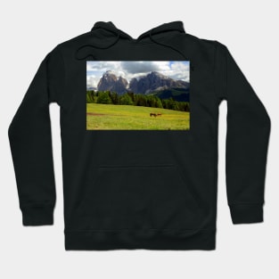Horses at the Seiser Alm Hoodie